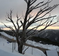 Snowflake 12 - Darwin Holiday