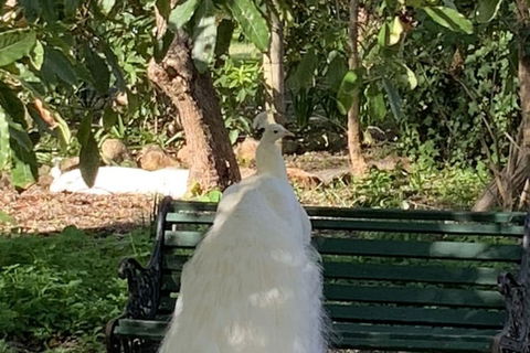 Bungala House 1856 - Darwin Holiday 4