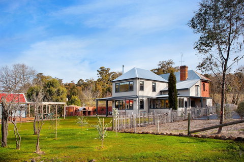 Morgantis - Darwin Holiday 0