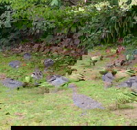 Leura Fairways West - Darwin Holiday