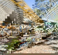 Scribbly Gum - Darwin Holiday