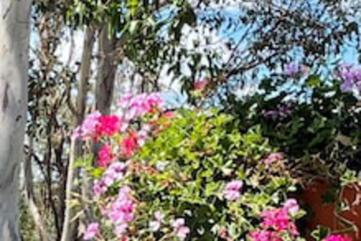 Anduramba QLD Darwin Holiday