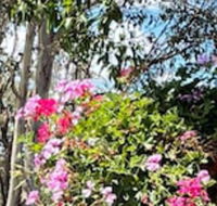 Crows Nest Motel - Darwin Holiday