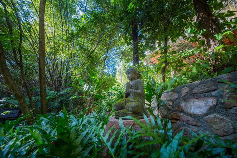 The Tree House. Treetop Living Near The Ocean Coolum Beach QLD Australia - Darwin Holiday 2