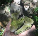 The Tree House. Treetop living near the ocean Coolum Beach QLD Australia - Darwin Holiday