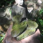 The Tree House. Treetop Living Near The Ocean Coolum Beach QLD Australia - Darwin Holiday 0