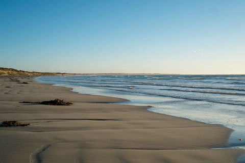 Johanssons Perch 2 - Darwin Holiday 6