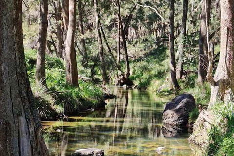 Shady Creek Eco Cabin - Darwin Holiday 3