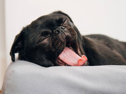 Abode Murrumbateman - Darwin Holiday 6