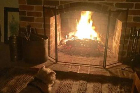 Hinterland Hideaway - Darwin Holiday 4