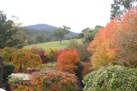 Riverhouse At Howqua Dale - Darwin Holiday 5