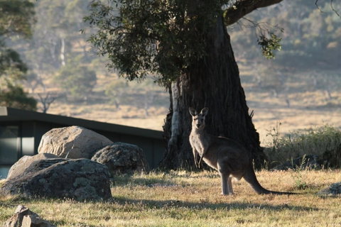 Ecocrackenback 4 'Sustainable Chalet Close To The Slopes - Darwin Holiday 6