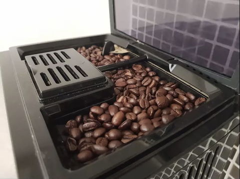 Melbourne By The Botanical Gardens - Darwin Holiday 6