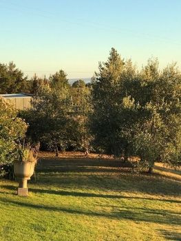 Eemnes Park Estate - Darwin Holiday 4