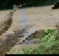 Jarrah Lodge - Darwin Holiday