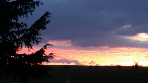 Jarrah Lodge - Darwin Holiday 3