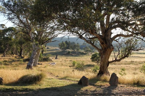 Ecocrackenback 5 'Sustainable Chalet Close To The Slopes - Darwin Holiday 5