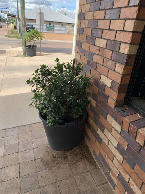 Central Motel - Darwin Holiday 0