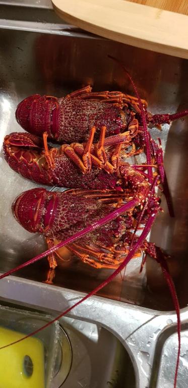 Province - Darwin Holiday 4