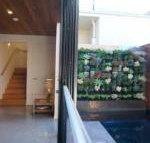 Stella on Stevens - Darwin Holiday