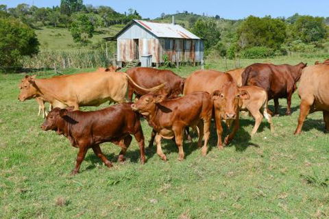 Samford Lakes - Darwin Holiday 5