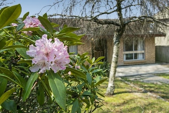 Wentworth Rose - Darwin Holiday 0