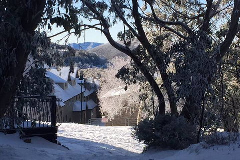 Snowflake 13 - Darwin Holiday 7