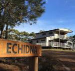 Echidna on Bruny - Darwin Holiday