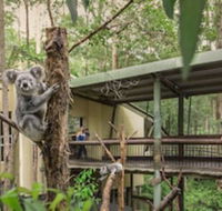 Springwood Meditation Vacation Center - Darwin Holiday