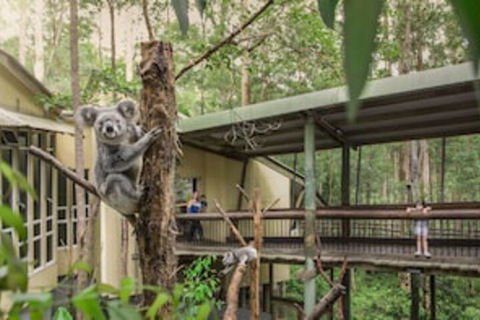 Springwood Meditation Vacation Center - Darwin Holiday 0