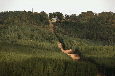 Nannup Hideaway - Darwin Holiday 4