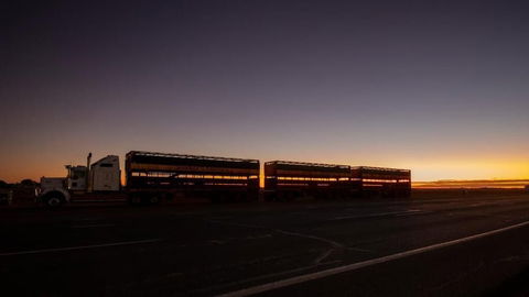 Longreach Outback Adventures - Darwin Holiday 2