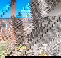 Blackbird - Darwin Holiday