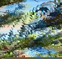 Mad Monkey Coogee Beach Hostel - Darwin Holiday