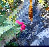 Chatelaine Valley Views - Darwin Holiday