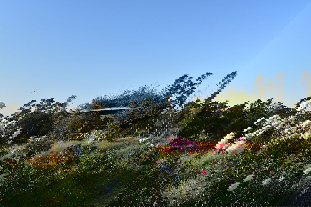 Labertouche ACT Darwin Holiday