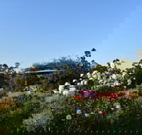 Labertouche Gypsy Creek Winery - Darwin Holiday