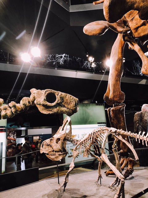 Melbourne River Views - Darwin Holiday 4