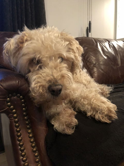 Leddicott Cottage - Darwin Holiday 1