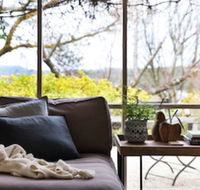 The Acorn - Darwin Holiday