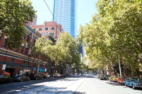 Penthouse Apartment In Melb CBD Perfect Location - Darwin Holiday 1