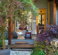 Hills End Camellia - Darwin Holiday