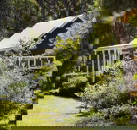 Bodhi - Darwin Holiday