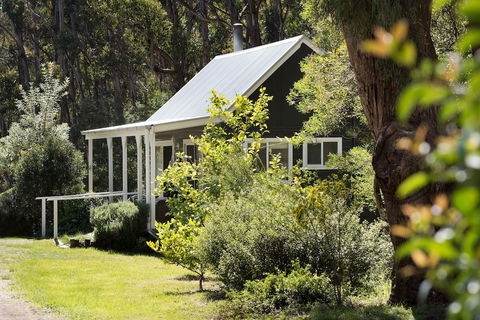 Bodhi - Darwin Holiday 0