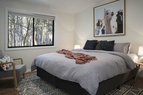 Bodhi - Darwin Holiday 3