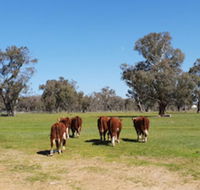 Jindera Park - Darwin Holiday