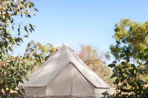 Goldfield Glamping - Darwin Holiday 2
