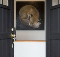 Fox on the Run - Motel Kilmore - Darwin Holiday