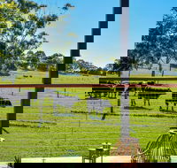 Curra Homestead Maleny - Darwin Holiday