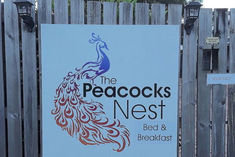 The Peacocks Nest - Darwin Holiday 1